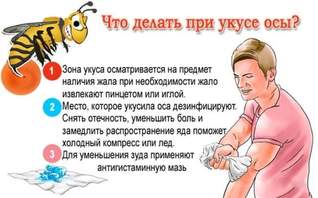 укусила оса