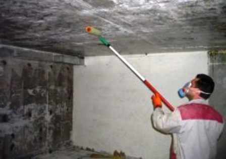 уничтожение клопов