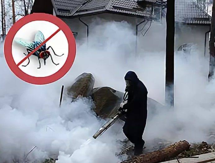 Уничтожение мух службами сэс