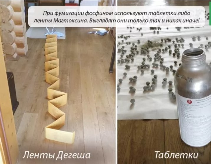 Фумигация деревянных домов