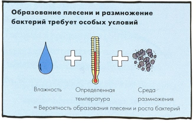 уничтожение плесени